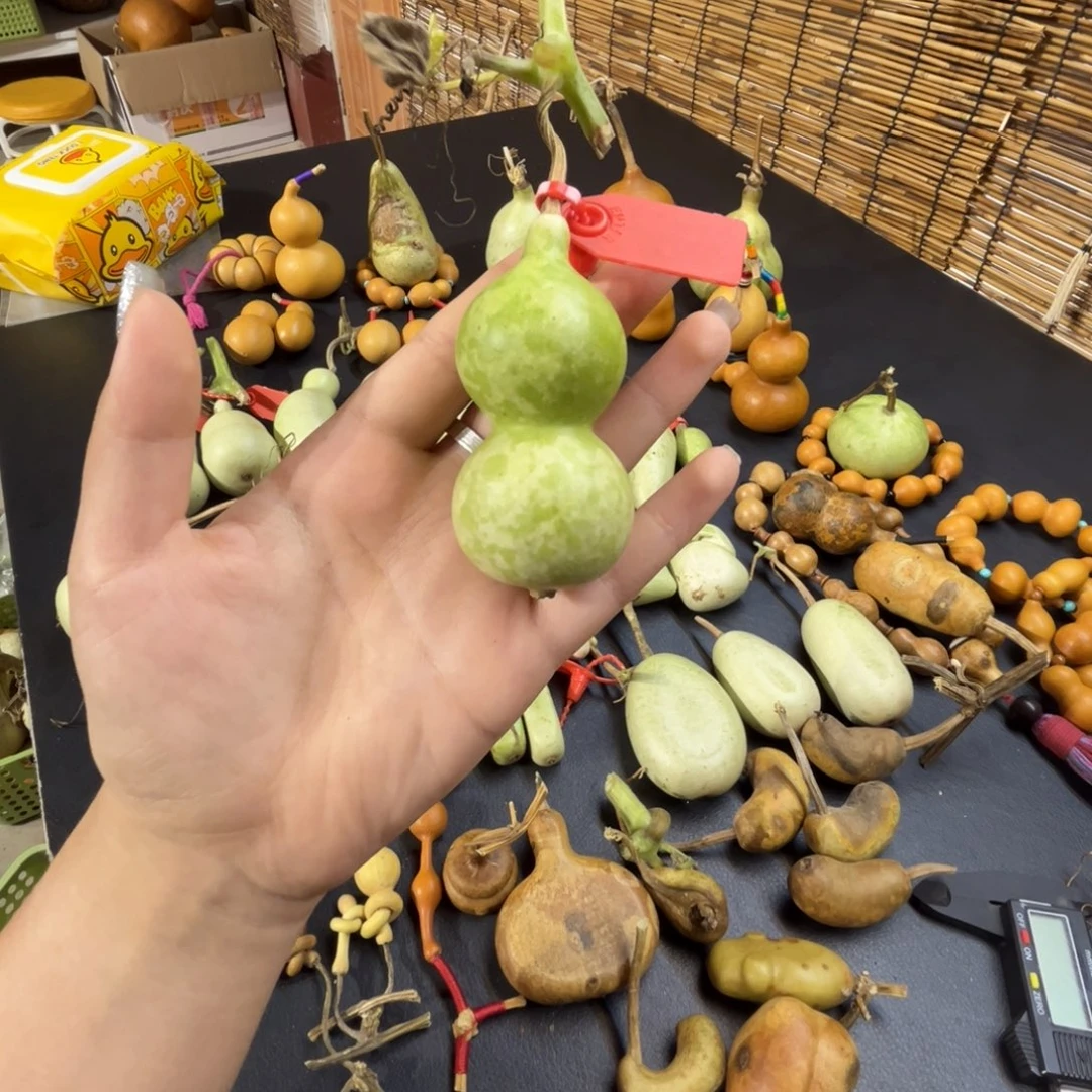 犬****不包成哈哈哈哈哈哈哈