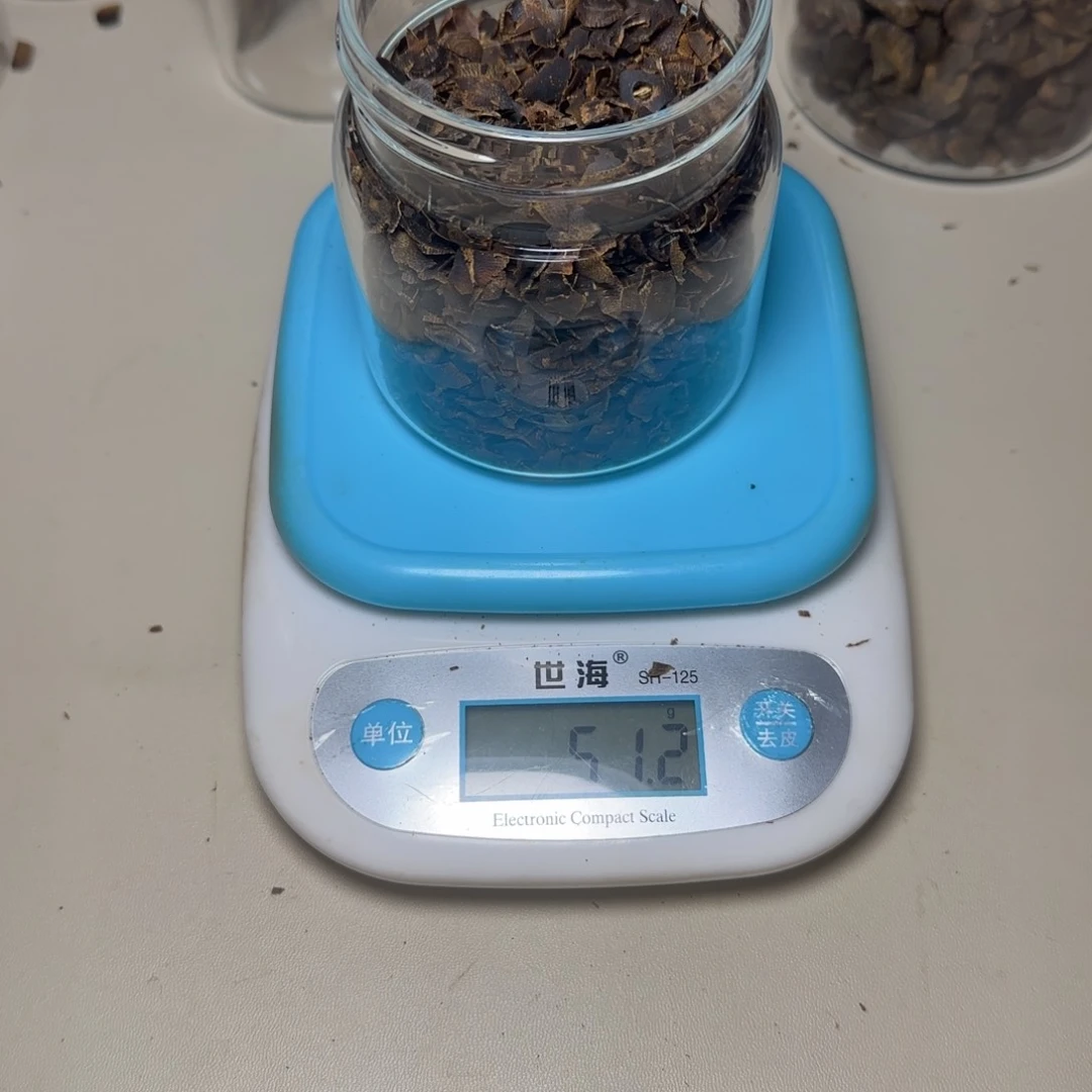 风车木（黑檀木）华*海南虎斑棋树50克