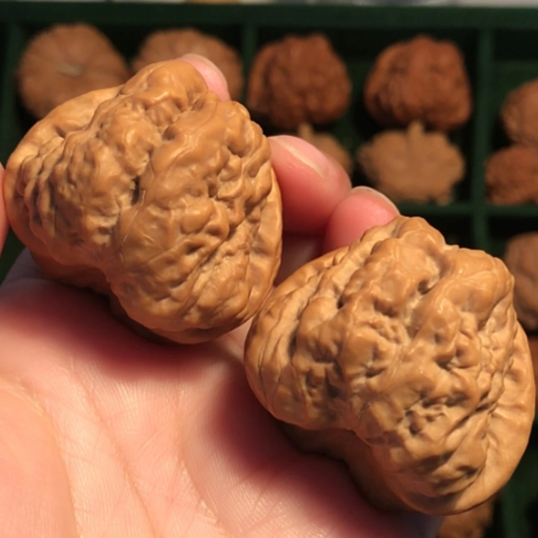 【闪购商品】文玩核桃把件?蛤蟆