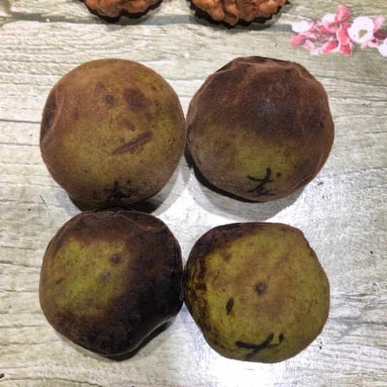 桃核吊坠核桃核桃