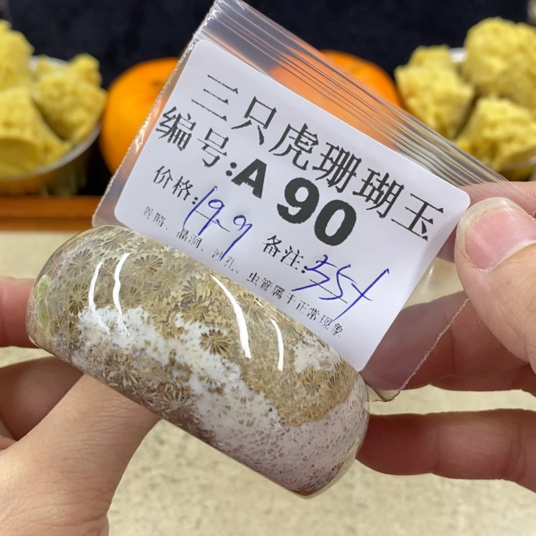 硅化珊瑚（珊瑚玉）1未镶嵌蔷*