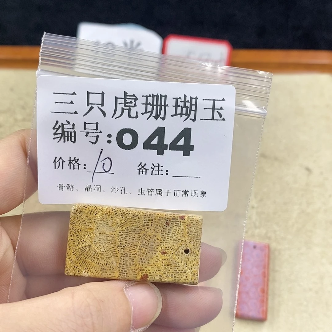 硅化珊瑚（珊瑚玉）1未镶嵌爱****子