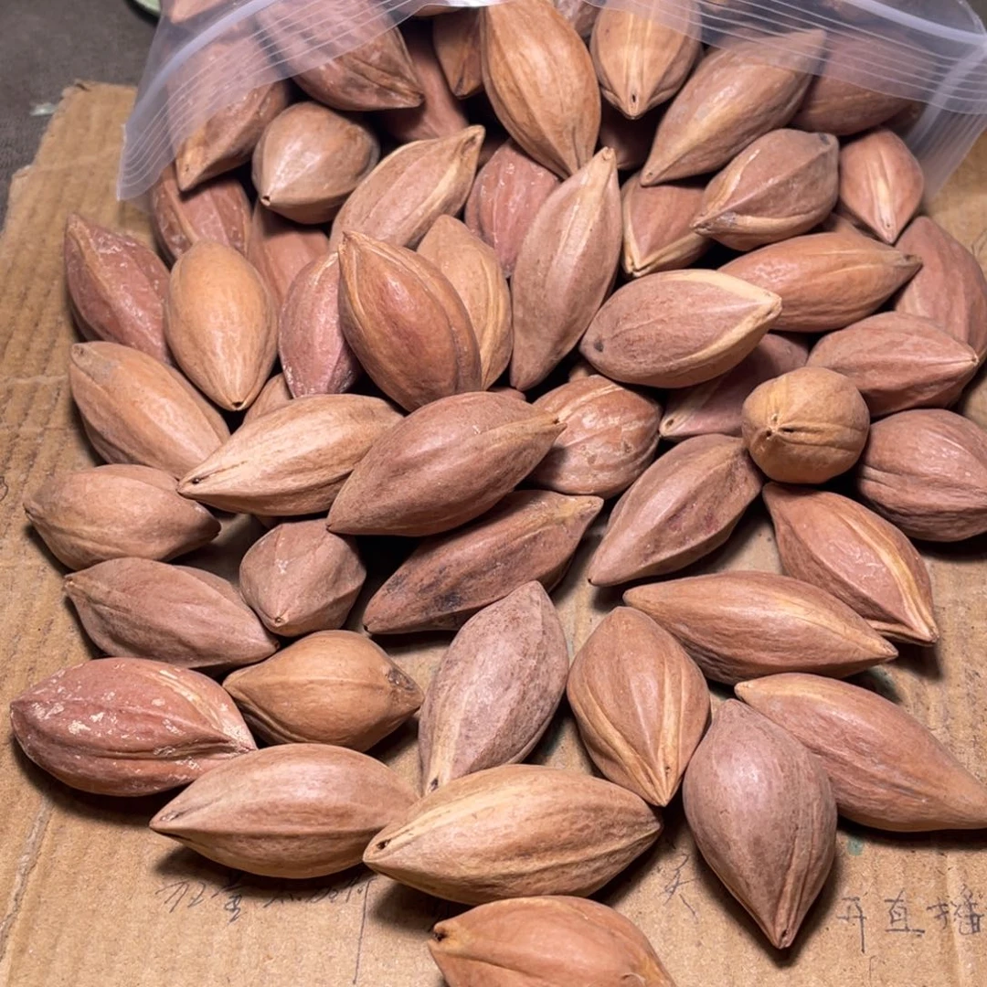 时***光橄榄核手串/手链不退不换wry