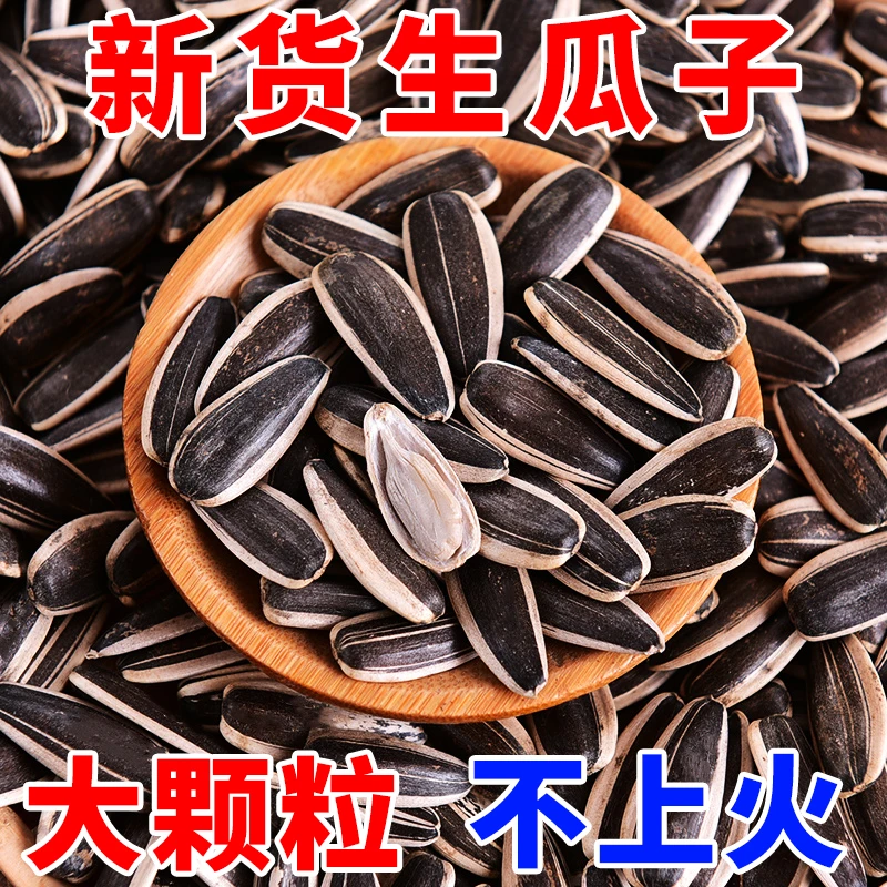 【买一斤送一斤】生瓜子内蒙古大颗粒葵瓜子新鲜瓜子无干燥剂
