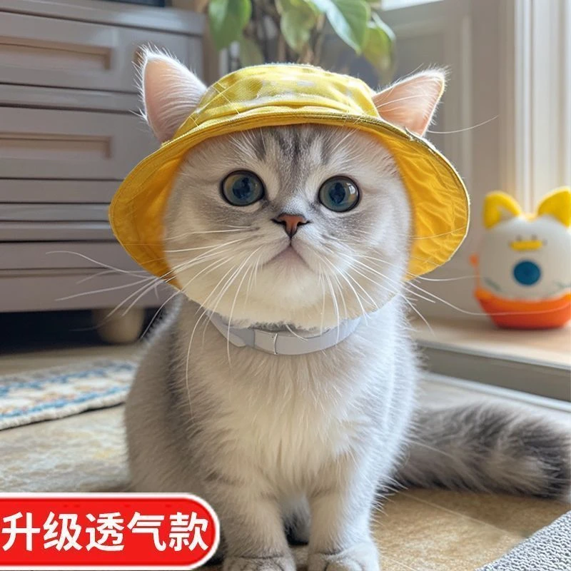 小猫小狗帽子柯基猫咪渔夫帽狗狗帽子薄款夏季防晒夏遮阳防勒耳朵