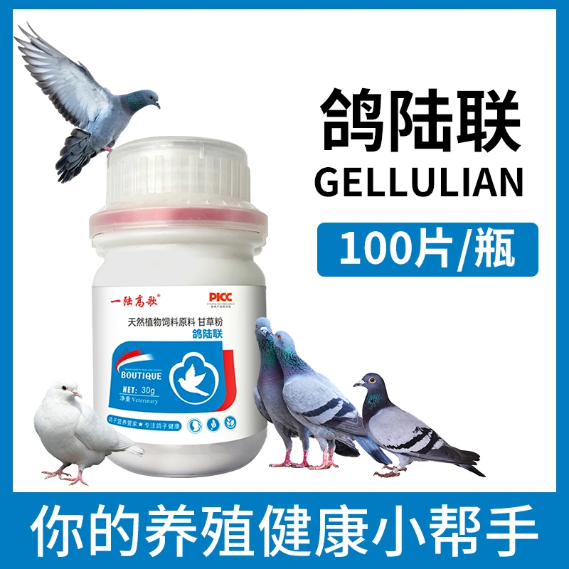 鸽陆联 鸽子营养肉鸽赛鸽信鸽宠物鸽子通用