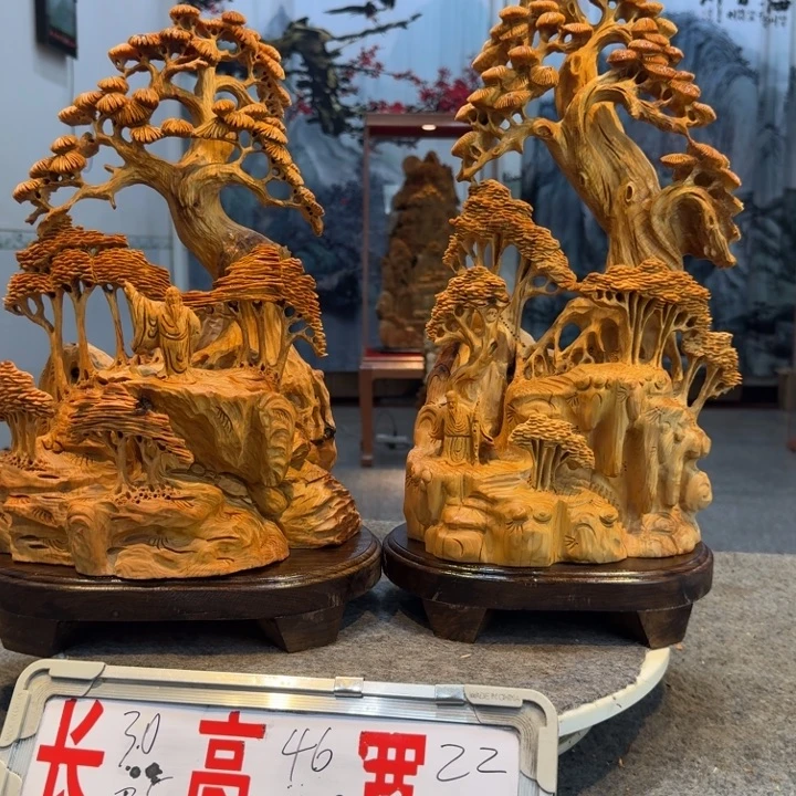 新***兵柏木（崖柏）崖柏111111