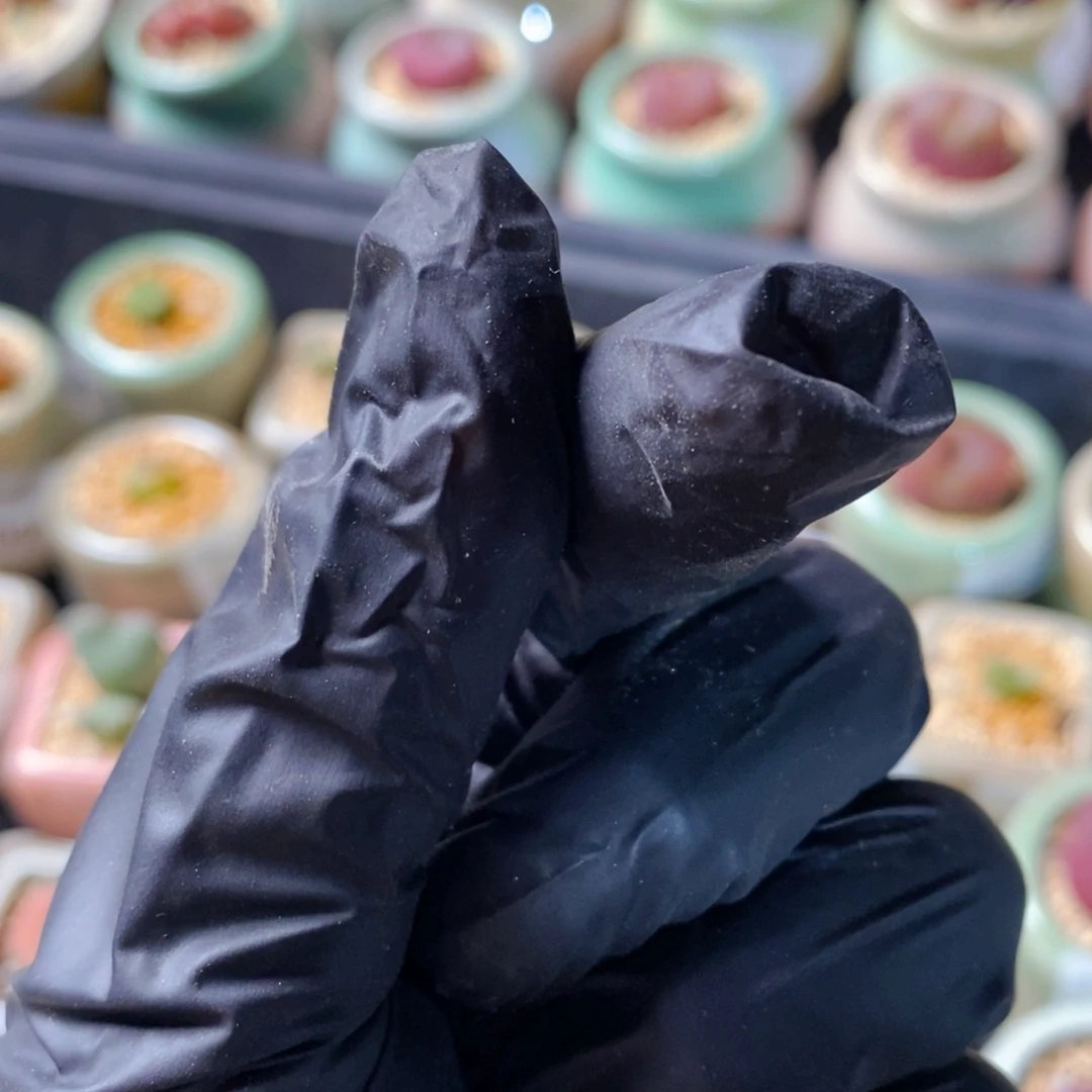 补邮费满18包邮多肉