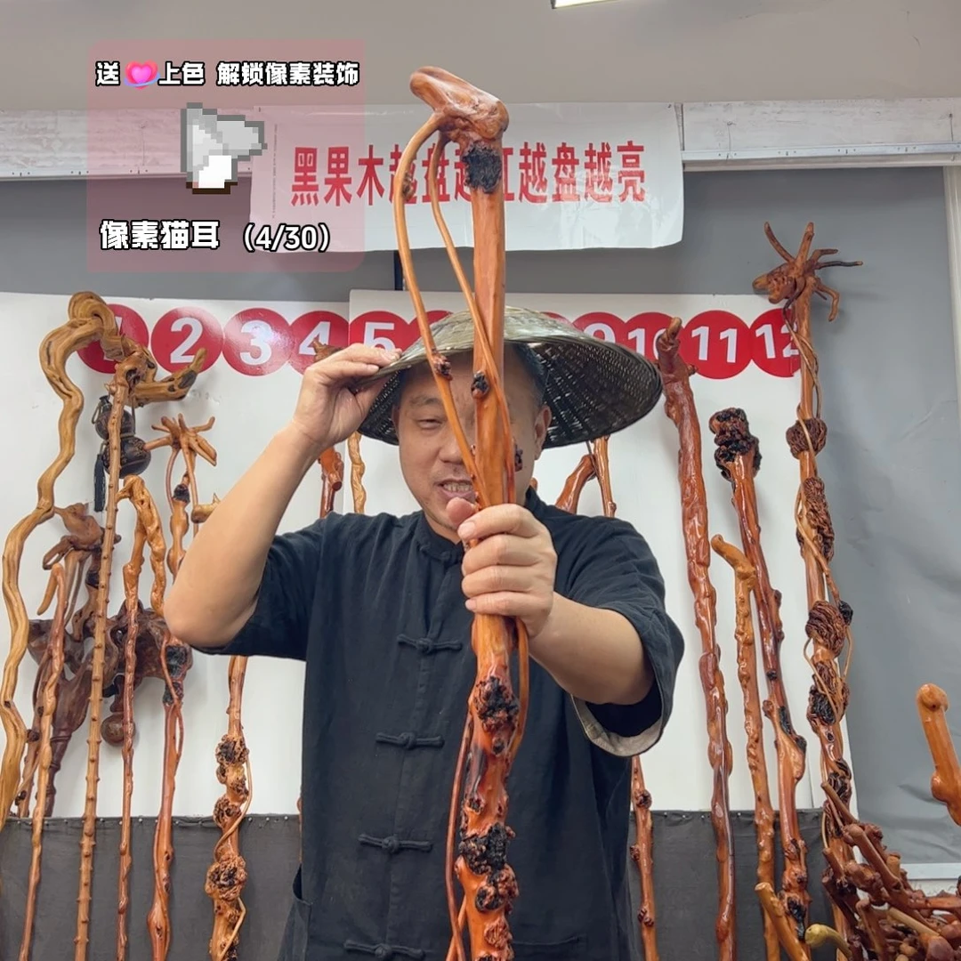 奔***乐黑果木其他黑果木176