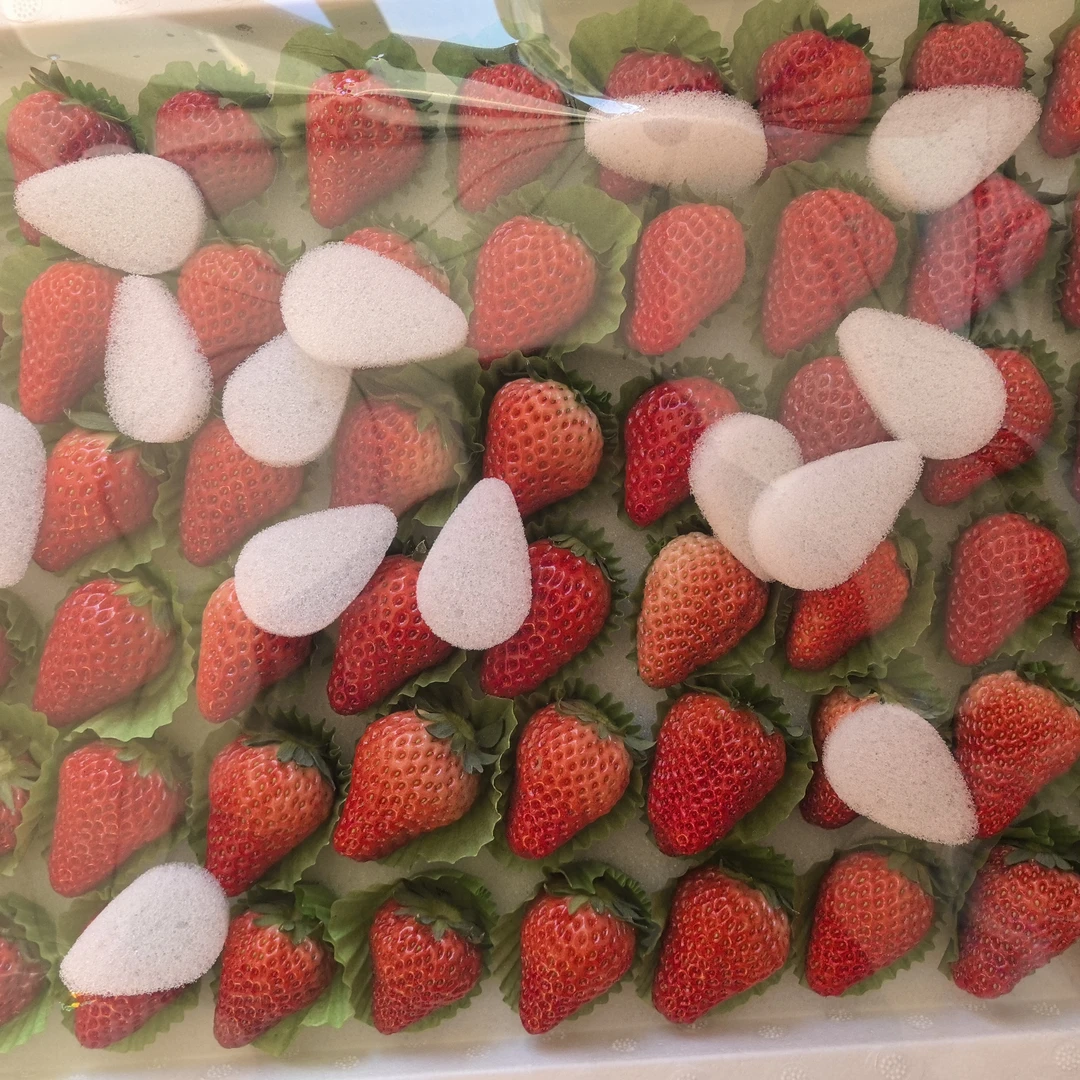 【阿房小时达】丹东九九草莓大板（净果3.5斤左右）