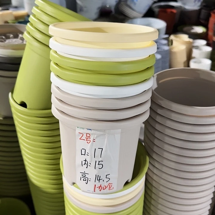 四季2#口径17果绿6个无托