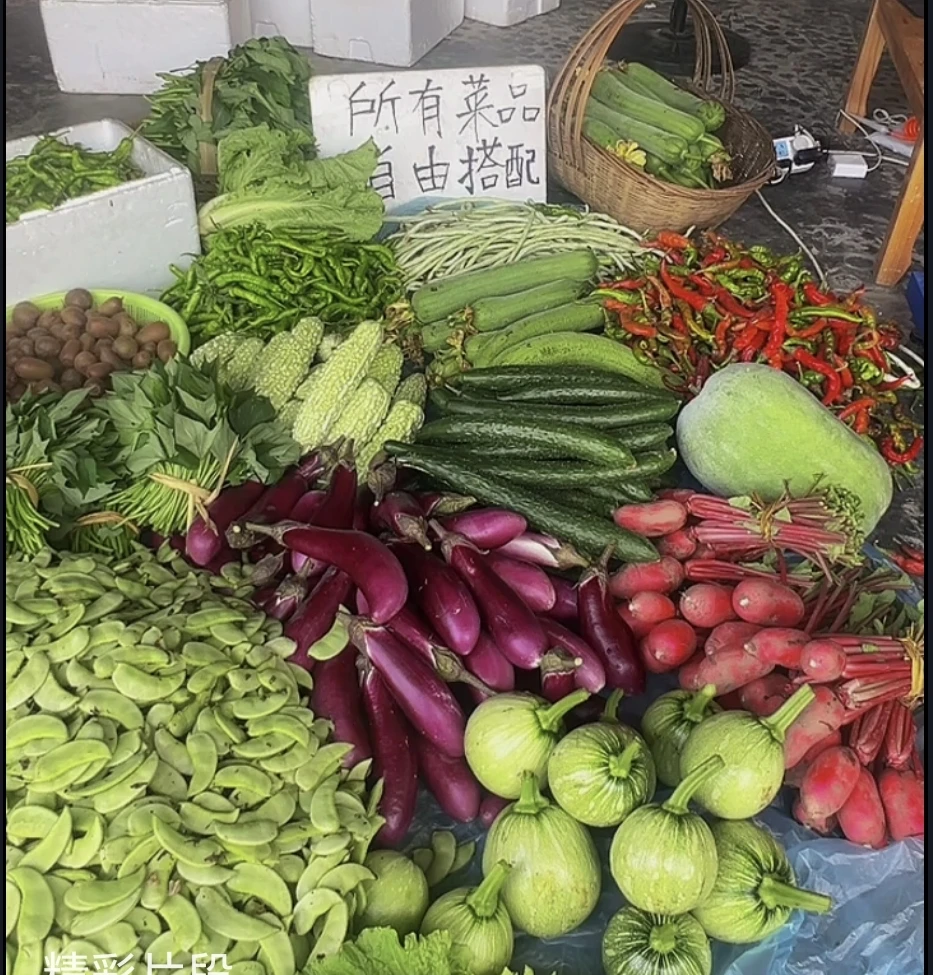 蔬菜自由搭配/湖南大山里农家自种蔬菜/泡沫箱+冰发货/中通