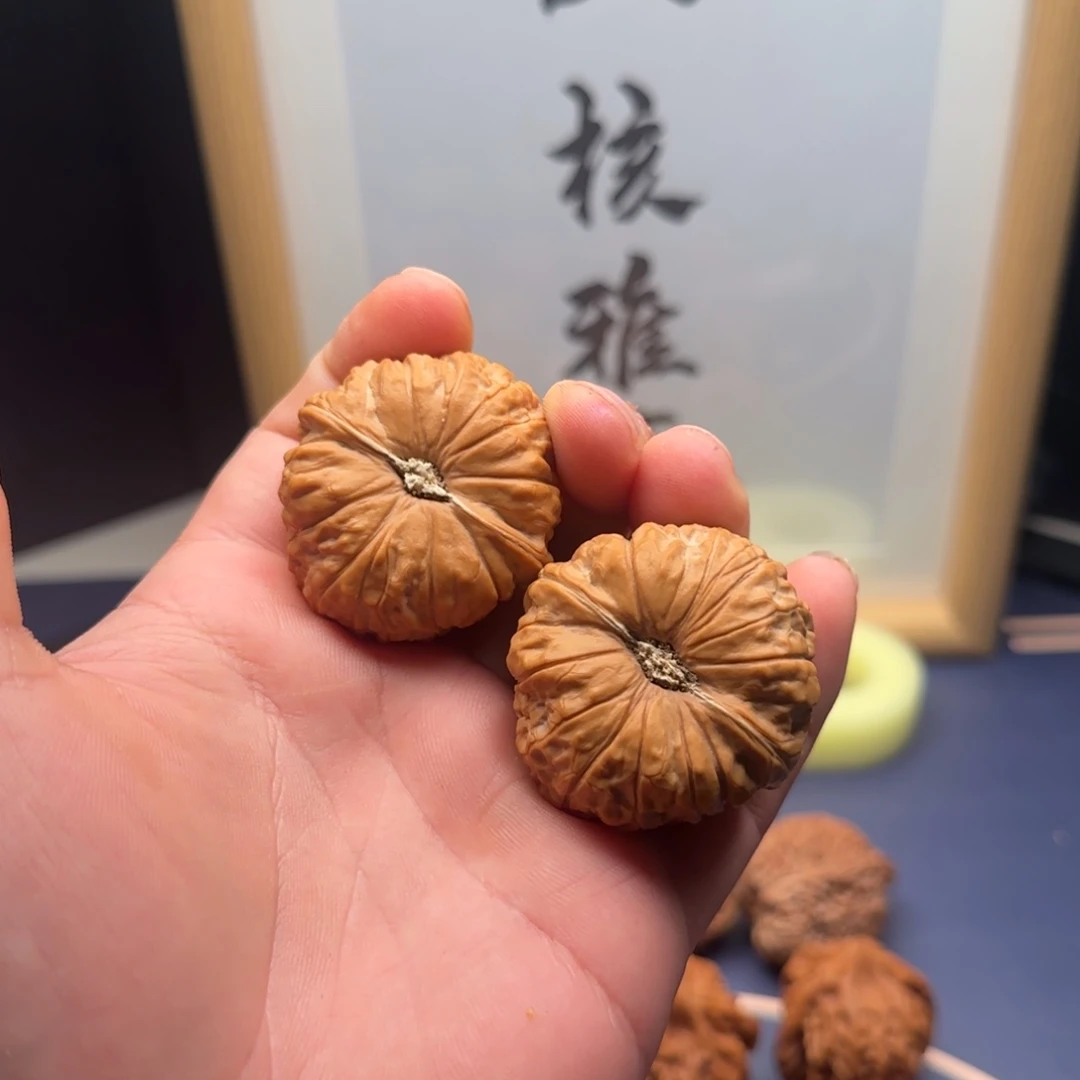42南瓜墩嘎嘎元毕业对