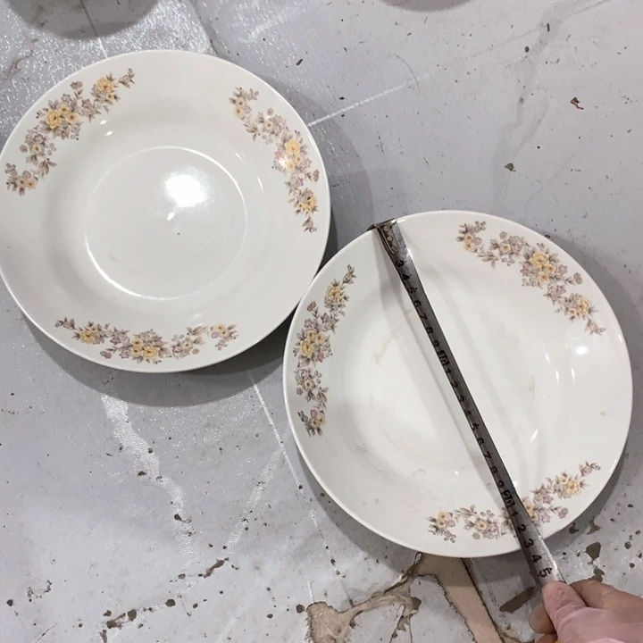 瓷片四厂强化瓷深盘一对