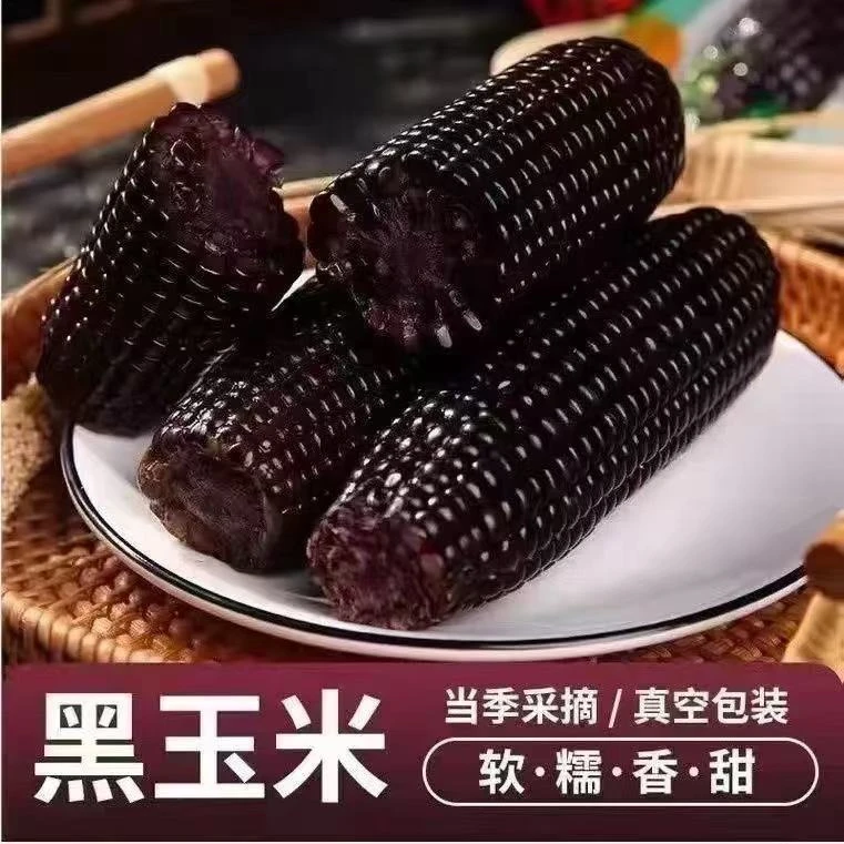 试吃4棒共12棒东北黑糯玉米黑玉米带箱7斤有运费险单只280g左右