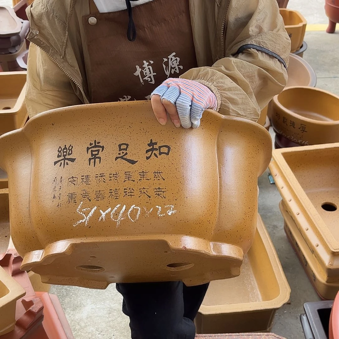 紫砂花盆盆景艺术