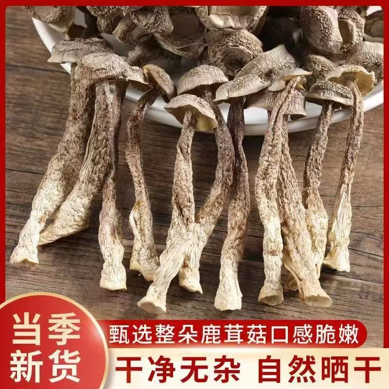 精选鹿茸菇干货 菌中珍品 鲜香脆嫩 营养美味[250克*2袋]