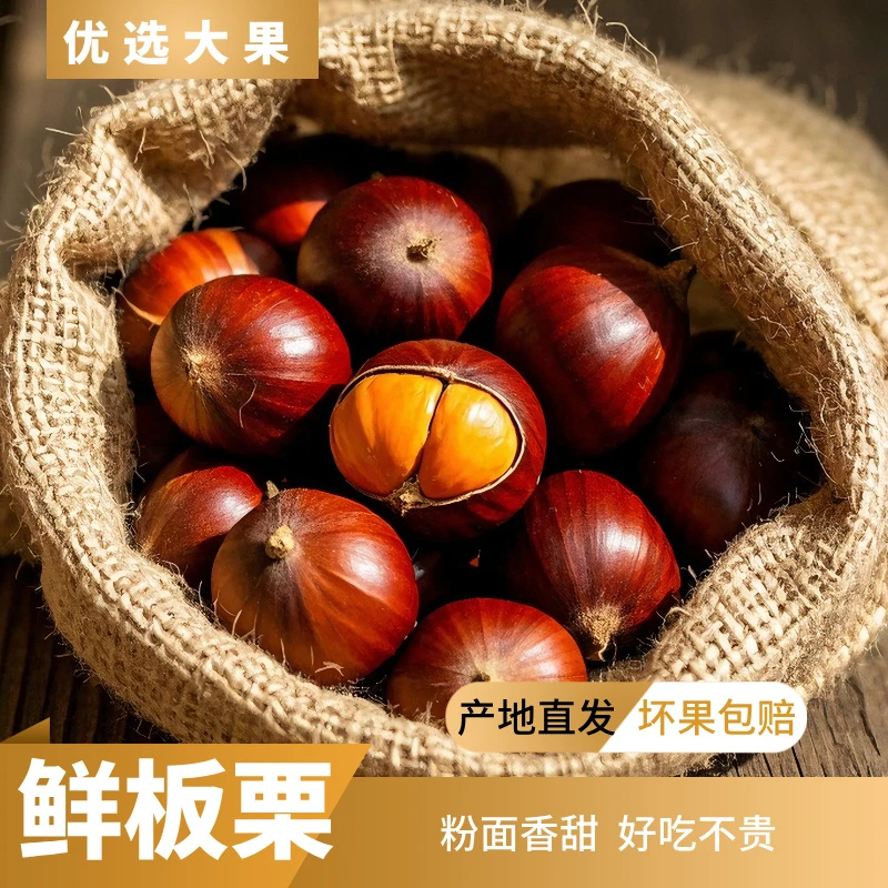 新鲜丹东板栗大果生板栗单果坏果包赔2025新果难剥皮非油栗锥栗