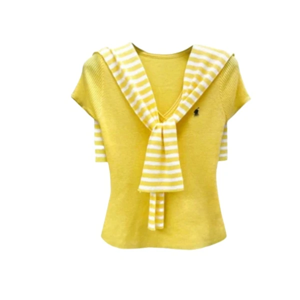 轻奢小香条纹披肩针织衫上衣女夏季设计V领修身短袖独特T恤M023