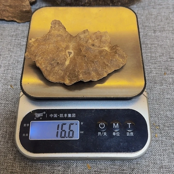 川***光沉香碎屑沉香铁头16.6克