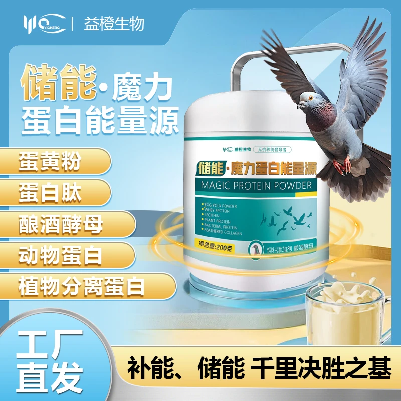 赛鸽蛋白粉储能稳定飞行姿态避免出现天落迟归补充飞行所需能力