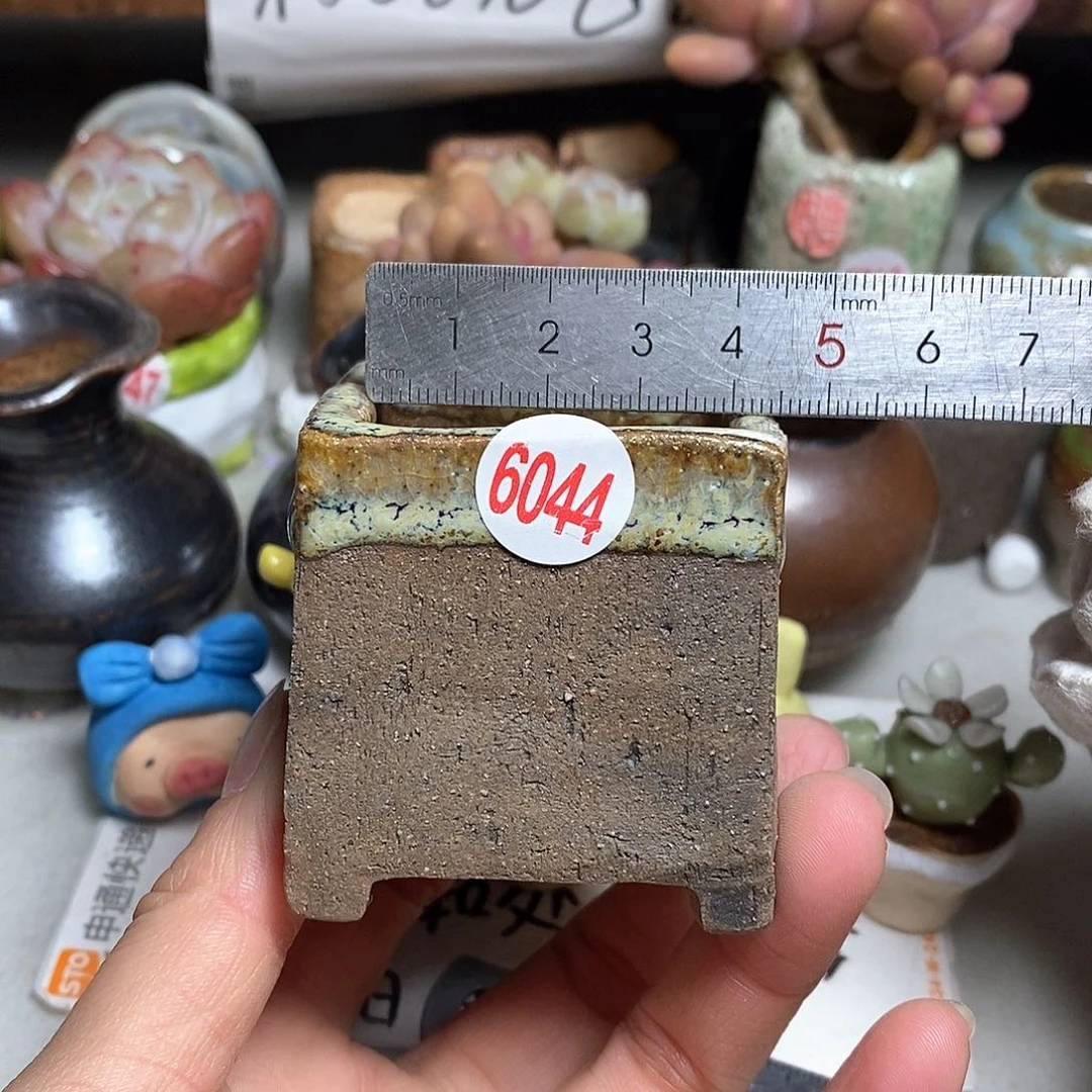 红陶拍5送一个小