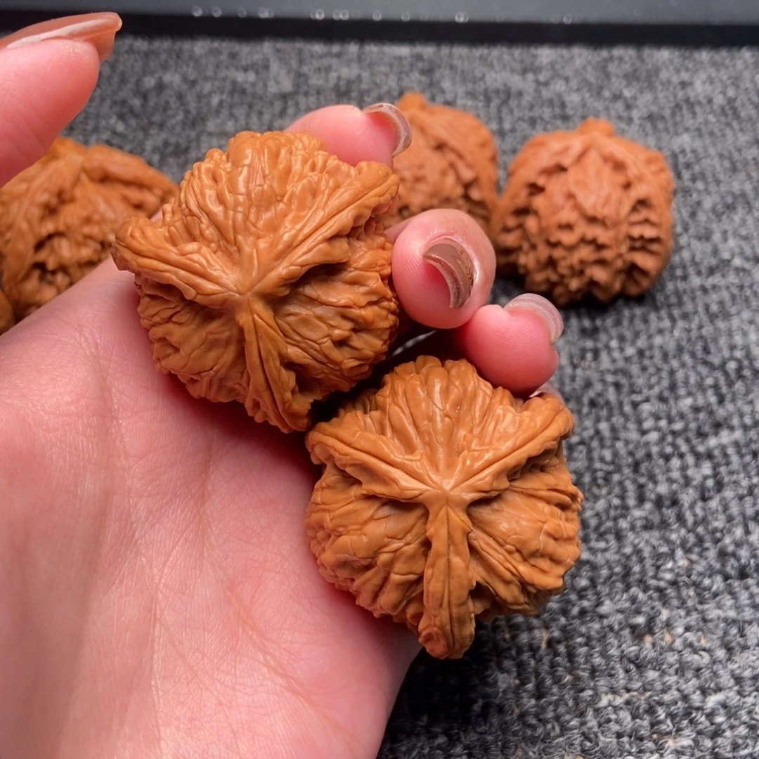 呐***春木质类白狮子正奔