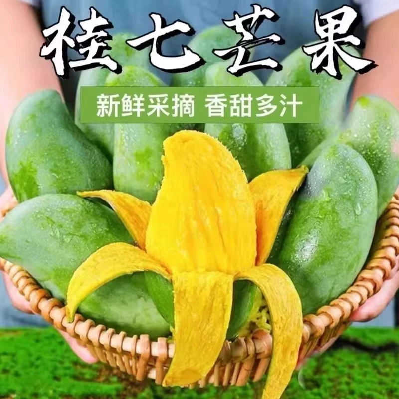 【自家田东桂七香芒】广西百色田东桂七芒果5/10斤香甜多汁新鲜采摘