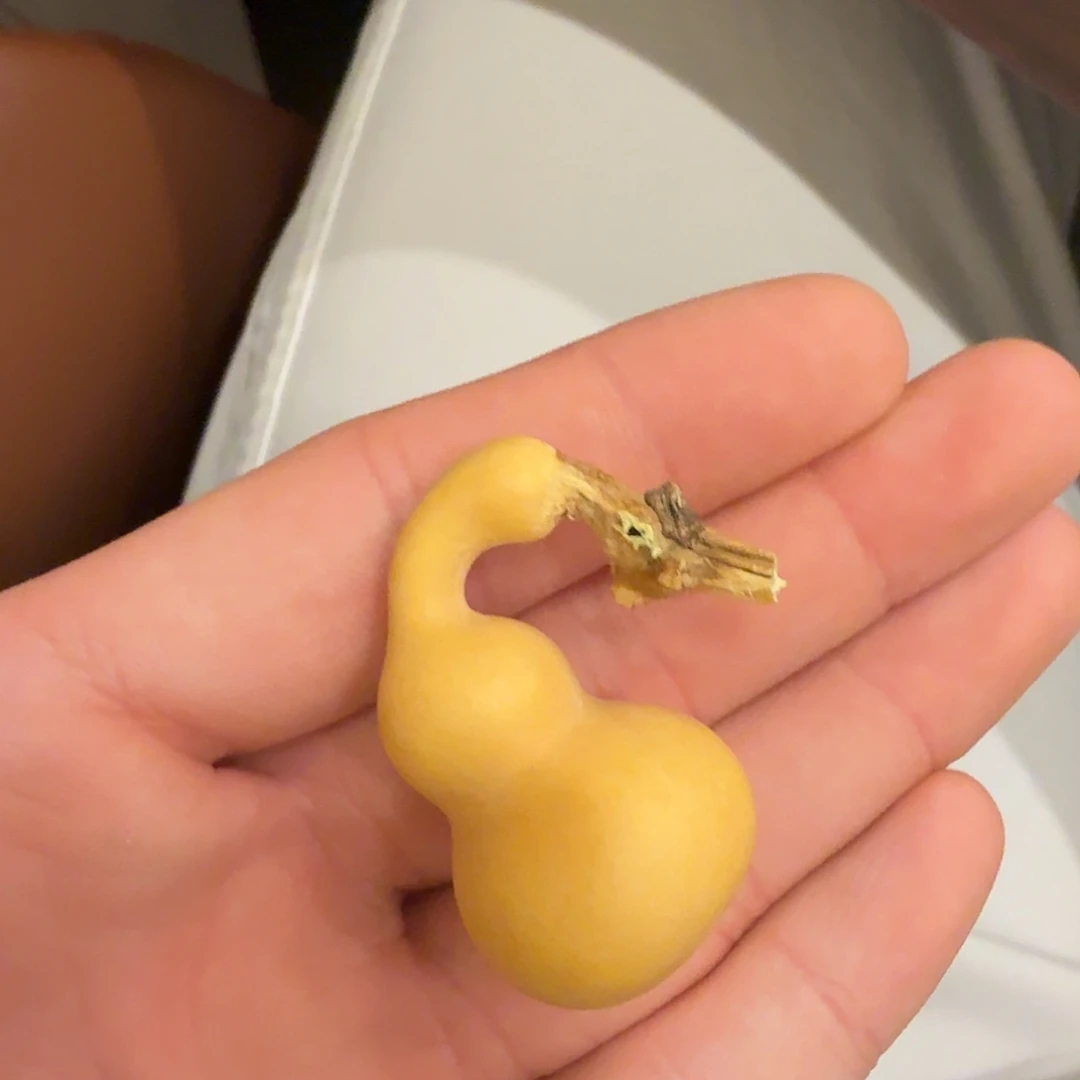 舍得出品精选葫芦