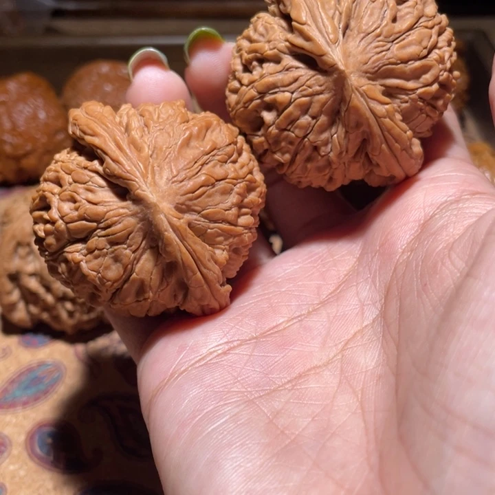 核桃把件47水龙纹