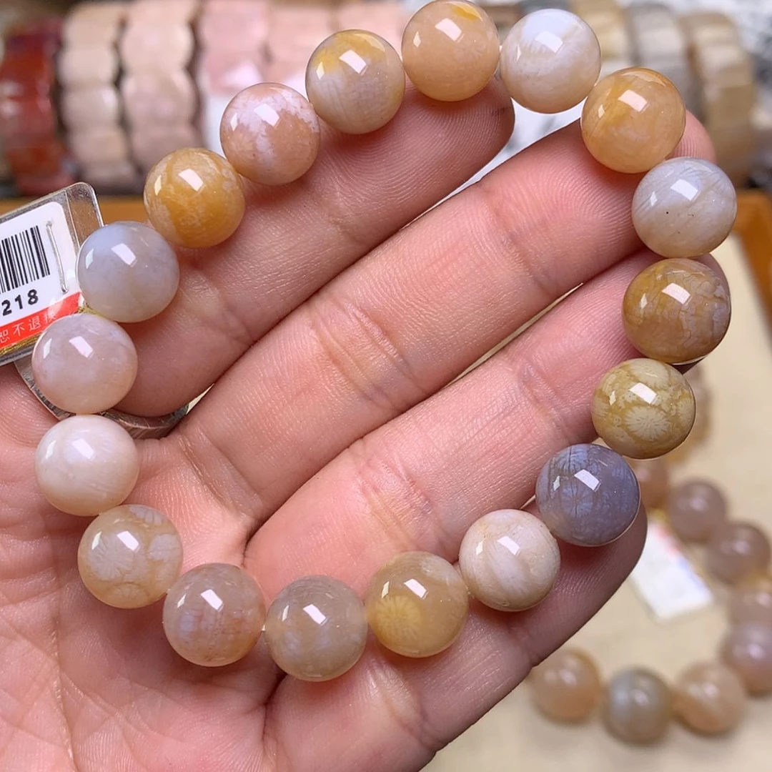 【闪购商品】硅化珊瑚（珊瑚玉）手链未镶嵌原300五折大漏150