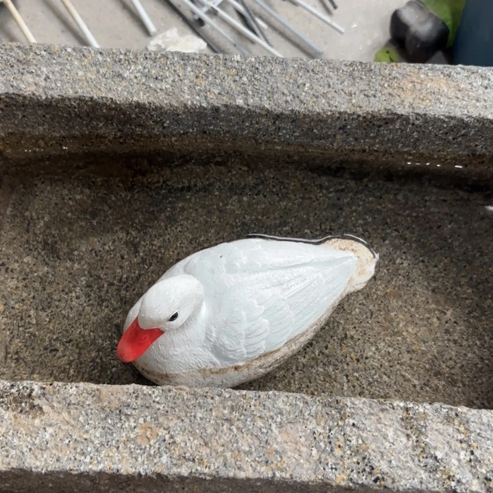 瓷片样品样品样品样品水浮鸭子