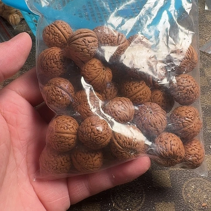 知***途吊坠文玩核桃6666666666666