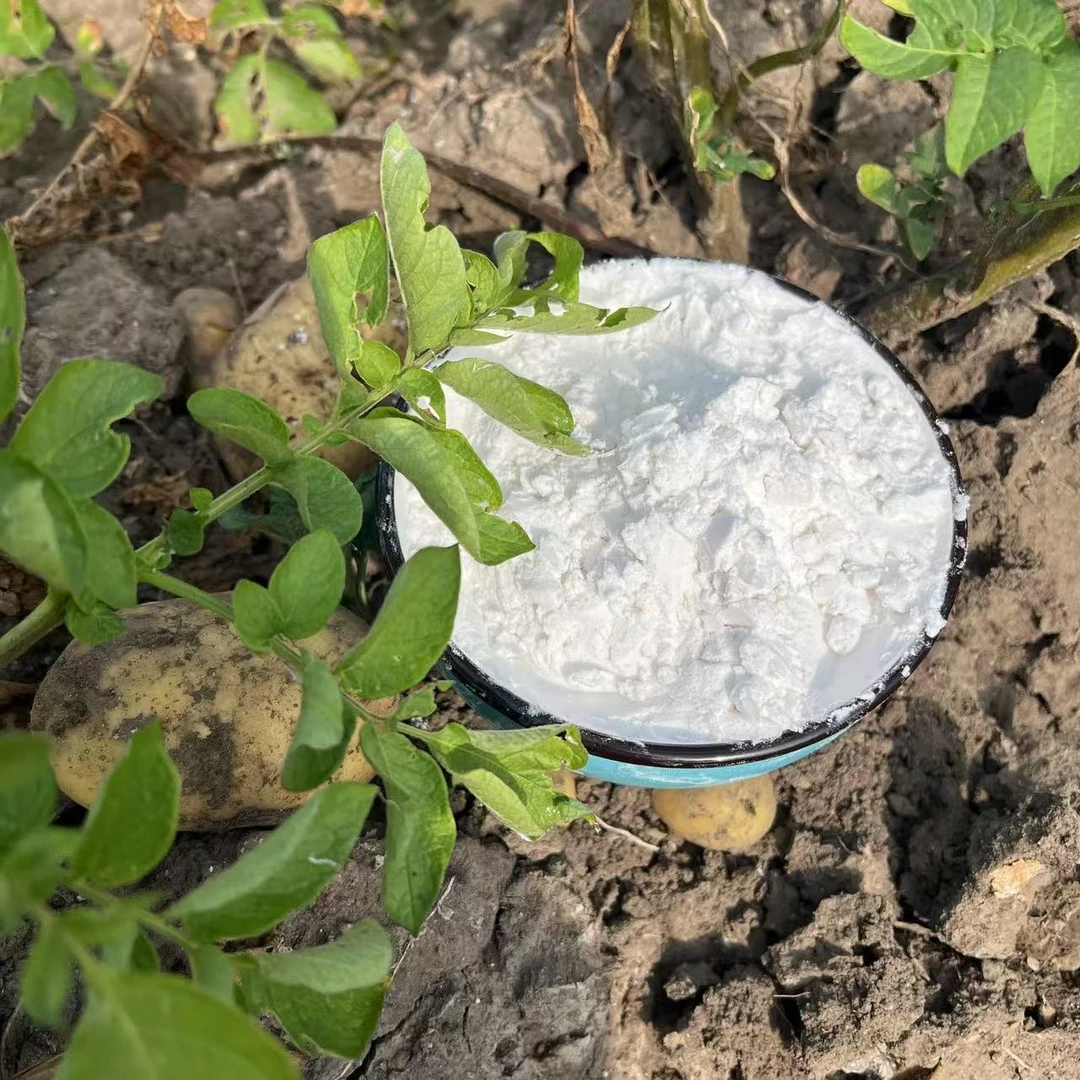 东北马铃薯淀粉(土豆粉面子)