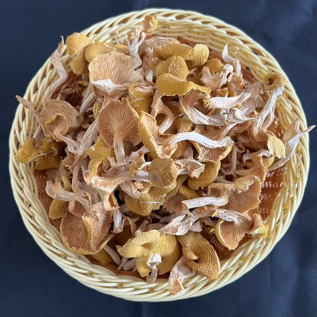 精选榆黄菇250克美味菌菇干货
