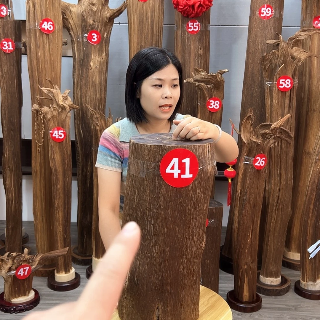 时***变沉香碎屑沉香沉香