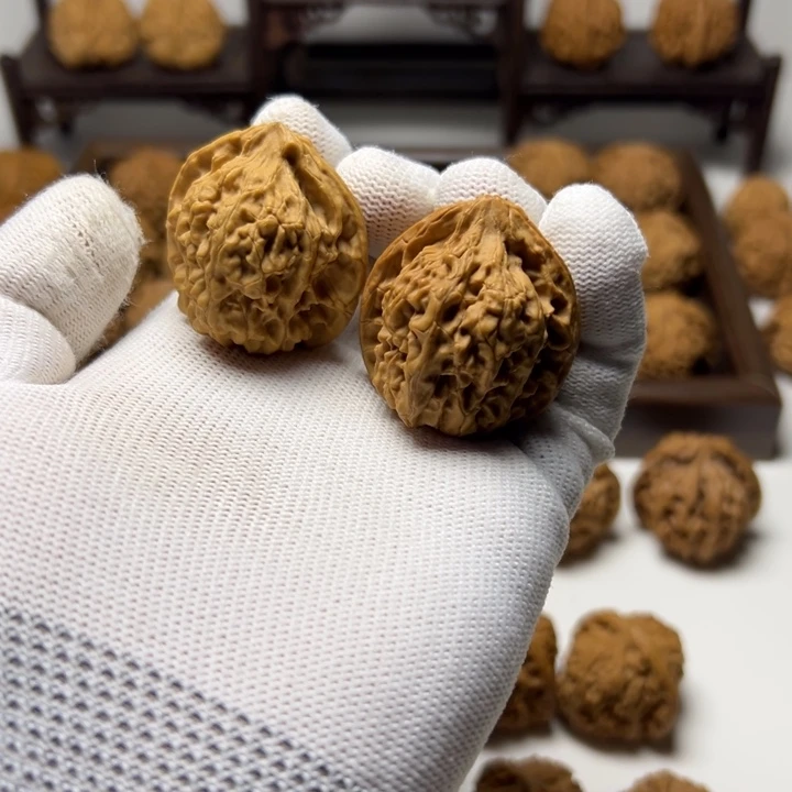 核桃全品火炎马蹄无药