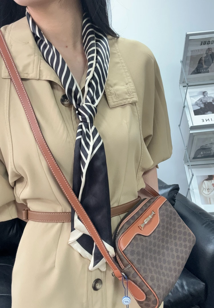 95新 Celine/思琳 凯旋门金环斜挎包 单肩包/秋境 03034