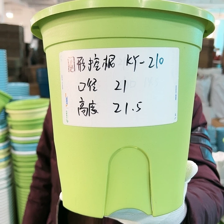 正品圆控根口21高21果绿无托5个