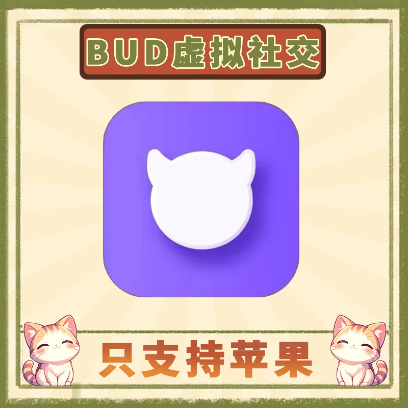 BUD虚拟社交游戏 BUD Create and Play游戏安装服务