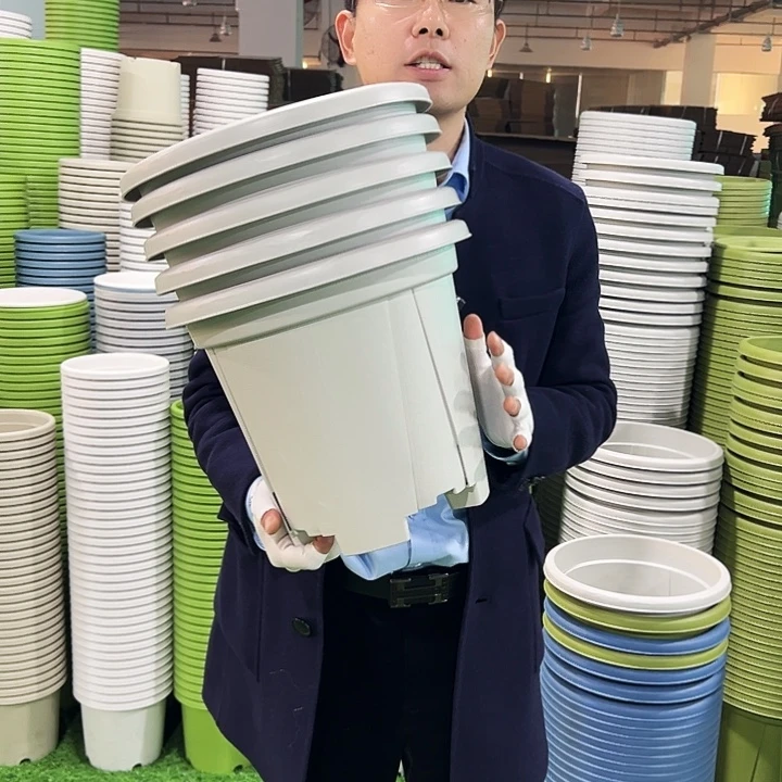 清仓青山口32高28灰白色5只无托