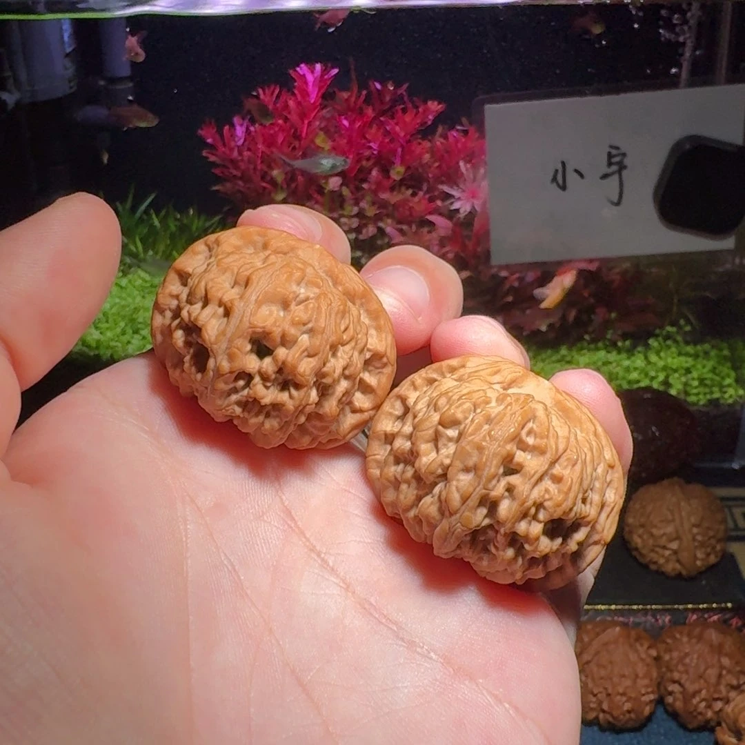 核桃把件982号37京东第一矮文玩核桃