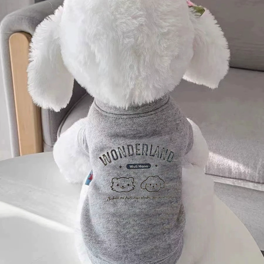 狗狗泰迪衣服秋冬装宠物潮牌比熊博美柴犬雪纳瑞猫小型犬衣服Tgh