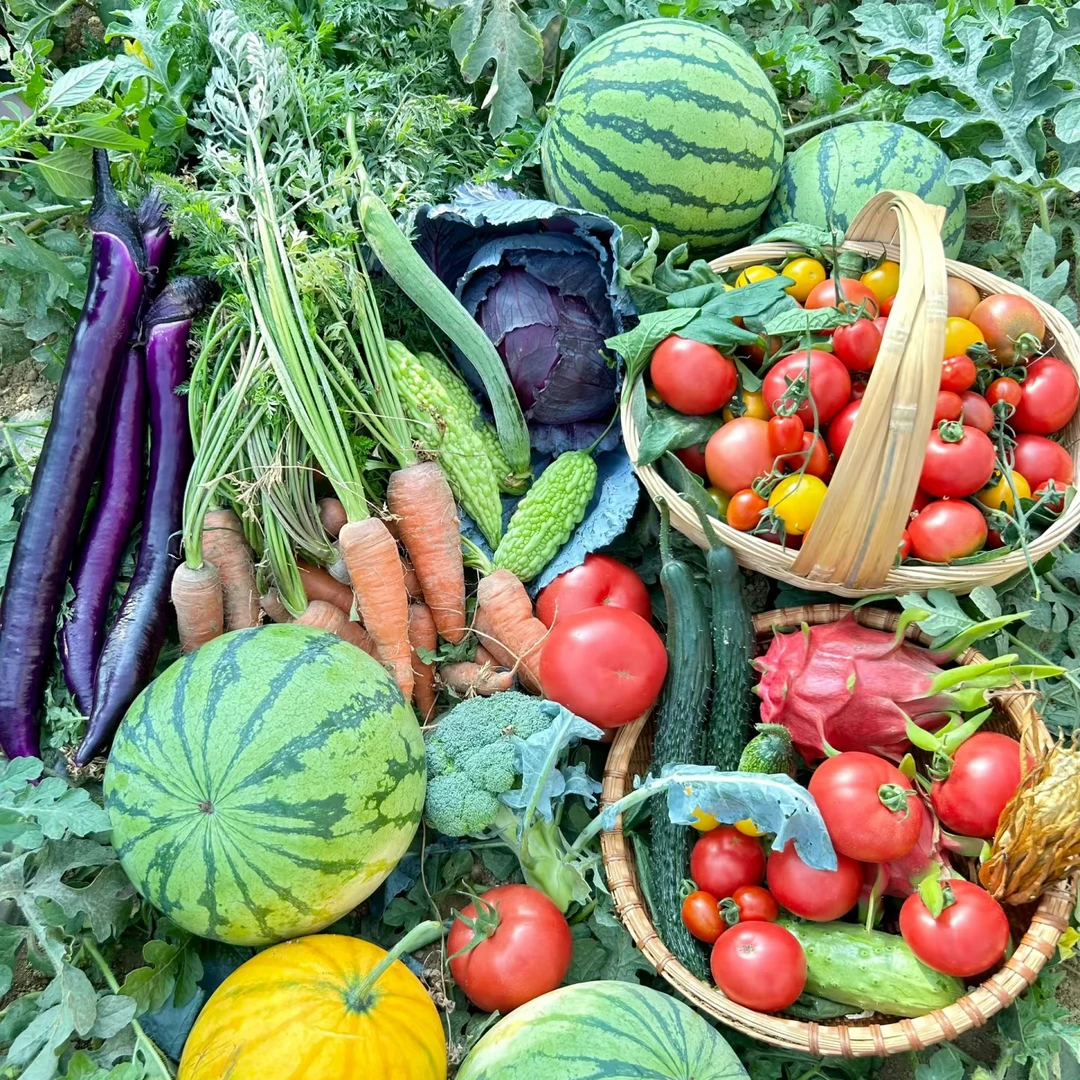 【生鲜现摘现发】辣椒茄子桃子苦瓜丝瓜黄瓜西红柿青菜