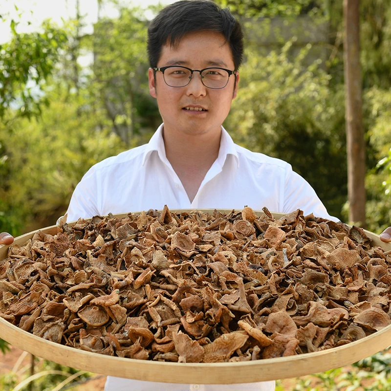 【秋田里】农家自然生长 九月香松菌