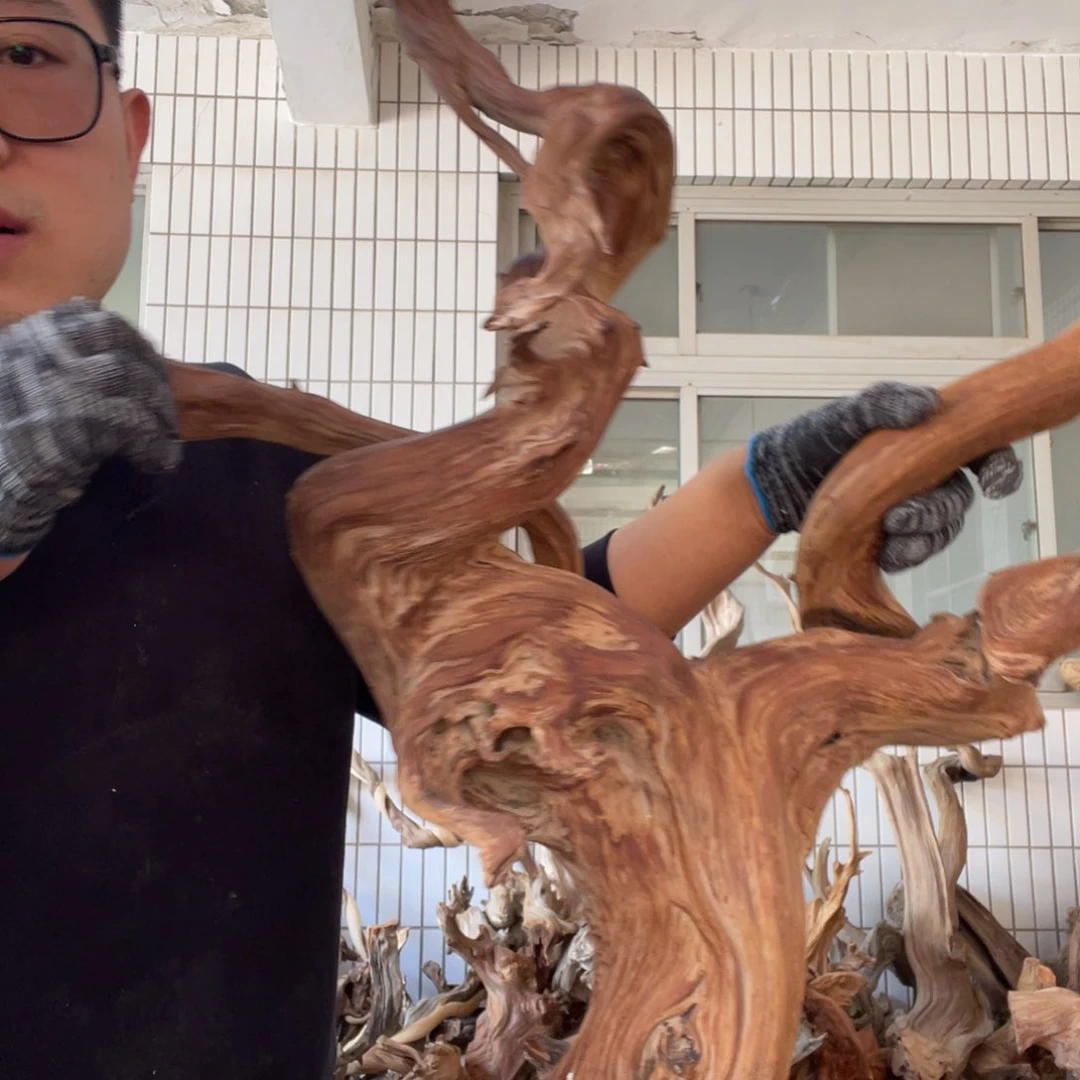 柏木马*松啦咯啦咯啦咯啦咯