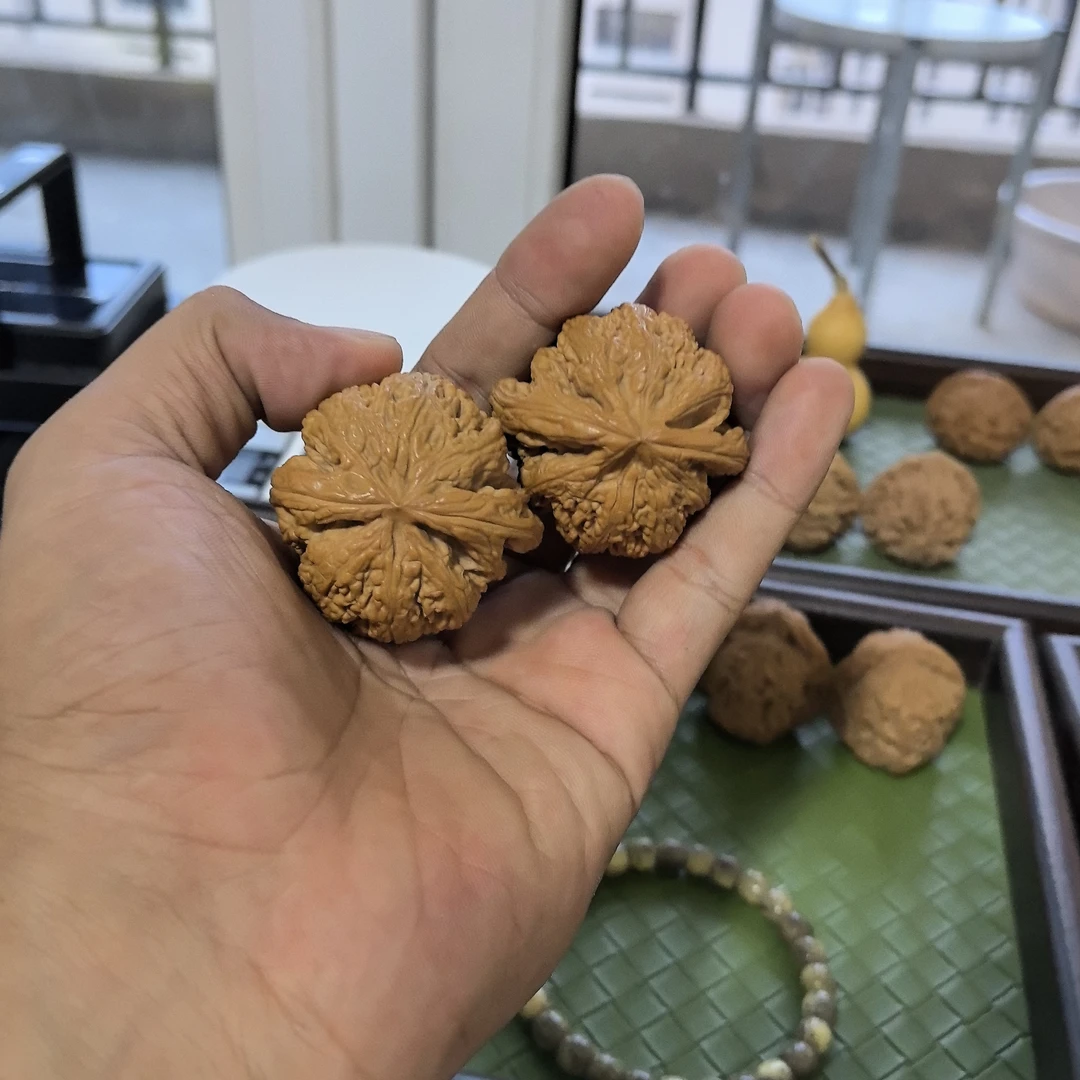 s级大粗筋精配对肉球核桃
