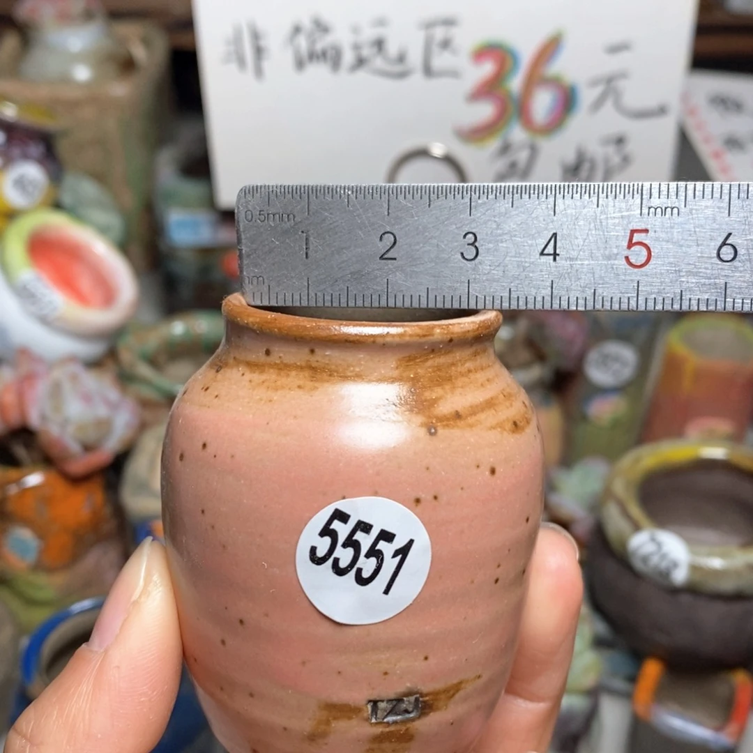 花盆拍5送一个小礼物