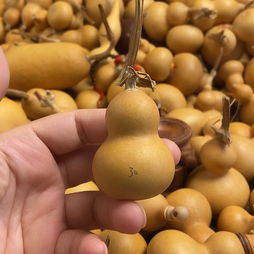 文玩葫芦 完美主义者 慎拍30