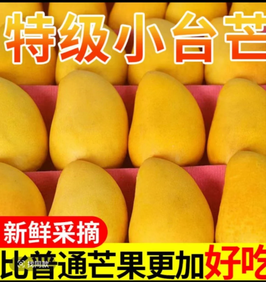 正宗小台芒香甜多汁现摘现发场地直发